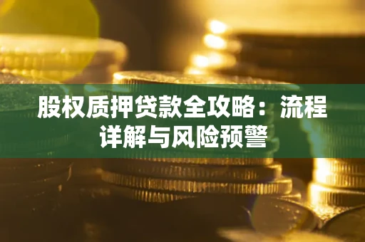 北京股权质押贷款全攻略：流程详解与风险预警