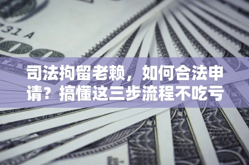 北京司法拘留老赖，如何合法申请？搞懂这三步流程不吃亏！