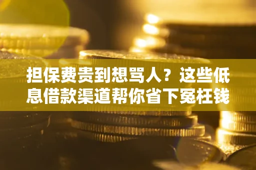 北京担保费贵到想骂人？这些低息借款渠道帮你省下冤枉钱