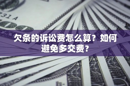 北京欠条的诉讼费怎么算？如何避免多交费？