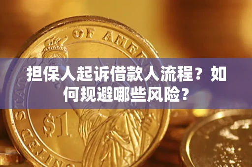 北京担保人起诉借款人流程？如何规避哪些风险？