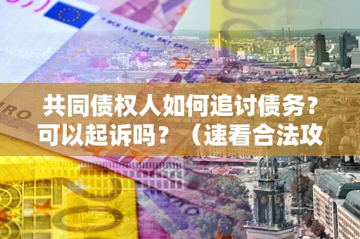 北京共同债权人如何追讨债务？可以起诉吗？（速看合法攻略）