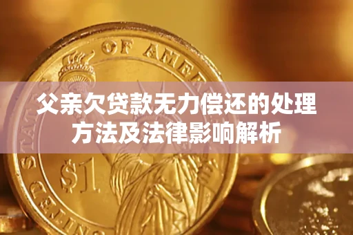 北京父亲欠贷款无力偿还的处理方法及法律影响解析
